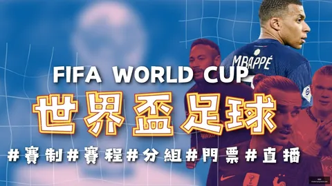 开云全站 095453 9